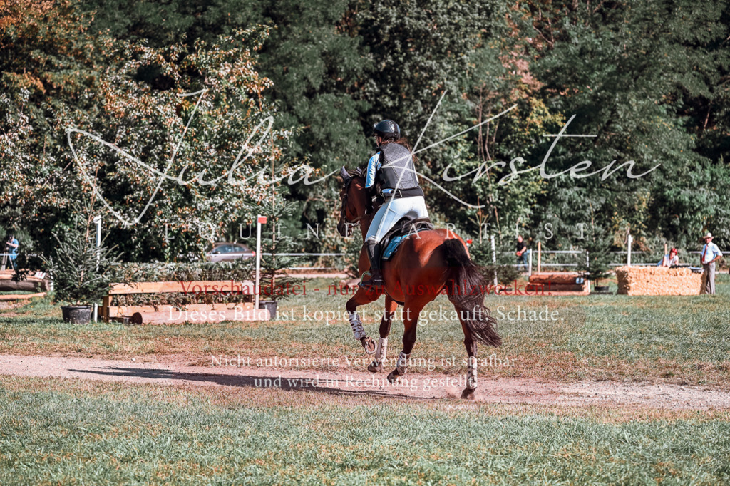 DSC_0732 | Pferde- und Turnierfotografie in Westsachsen. Pferdeportraits, Auftragszeichnungen und intuitive Kunst.