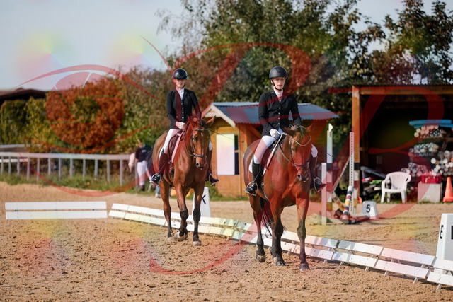 2026_10_03_Siefer-Hof_130908_Z63_71349390 | Professionelle Reitsport-, Turnier- und Eventfotografie von Robert Broda. Galerien mit ausgewählten und bearbeiteten Bildern direkt online ansehen und bestellen.