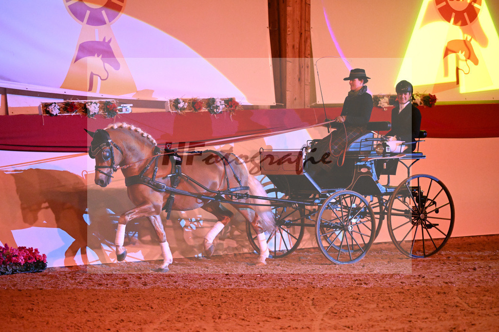 Avici Ass_1235032 | hf-fotografie - Realisiert mit Pictrs.com