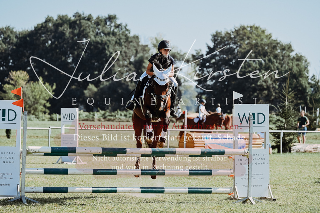DSC_5843 | Pferde- und Turnierfotografie in Westsachsen. Pferdeportraits, Auftragszeichnungen und intuitive Kunst.