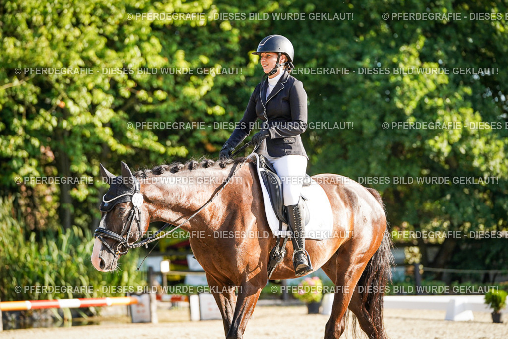 DSC07965 | Pferdegrafie