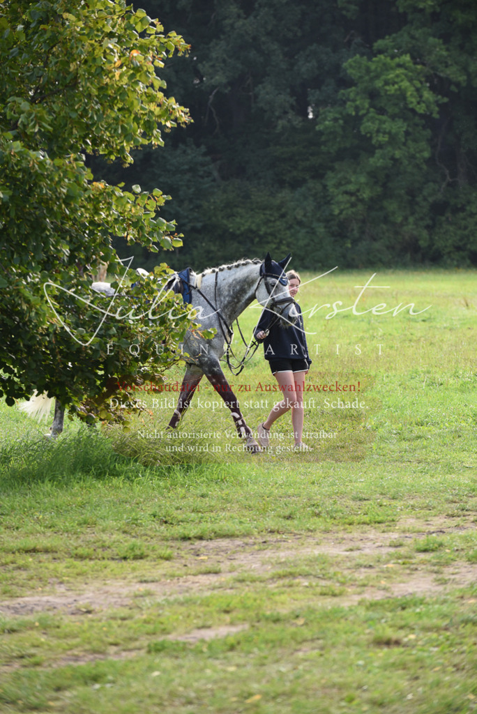 DSC_8524 | Pferde- und Turnierfotografie in Westsachsen. Pferdeportraits, Auftragszeichnungen und intuitive Kunst.
