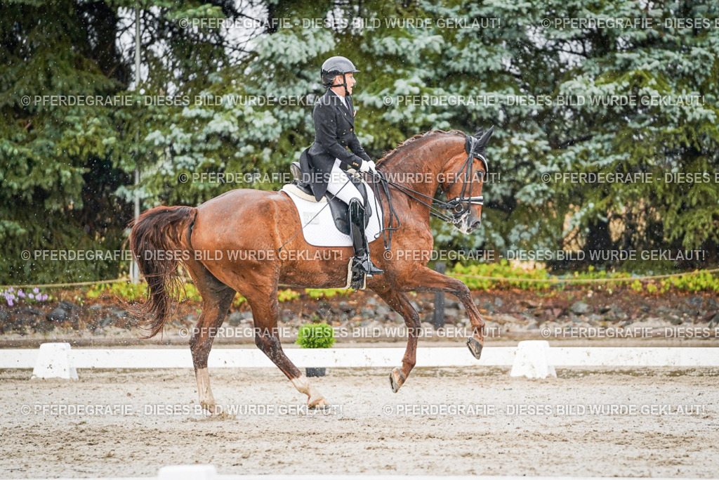 DSC09146 | Pferdegrafie