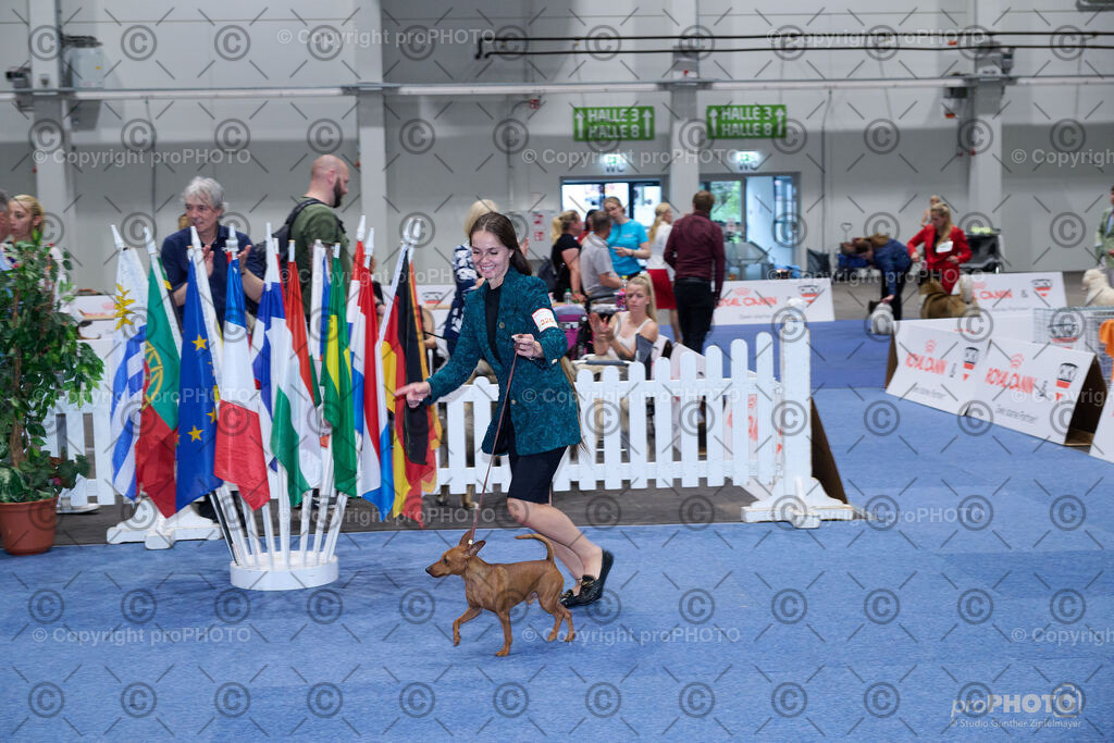 202406_ÖKV-IHA-Tulln24_NZ9_9597 | proPHOTO - Realisiert mit Pictrs.com