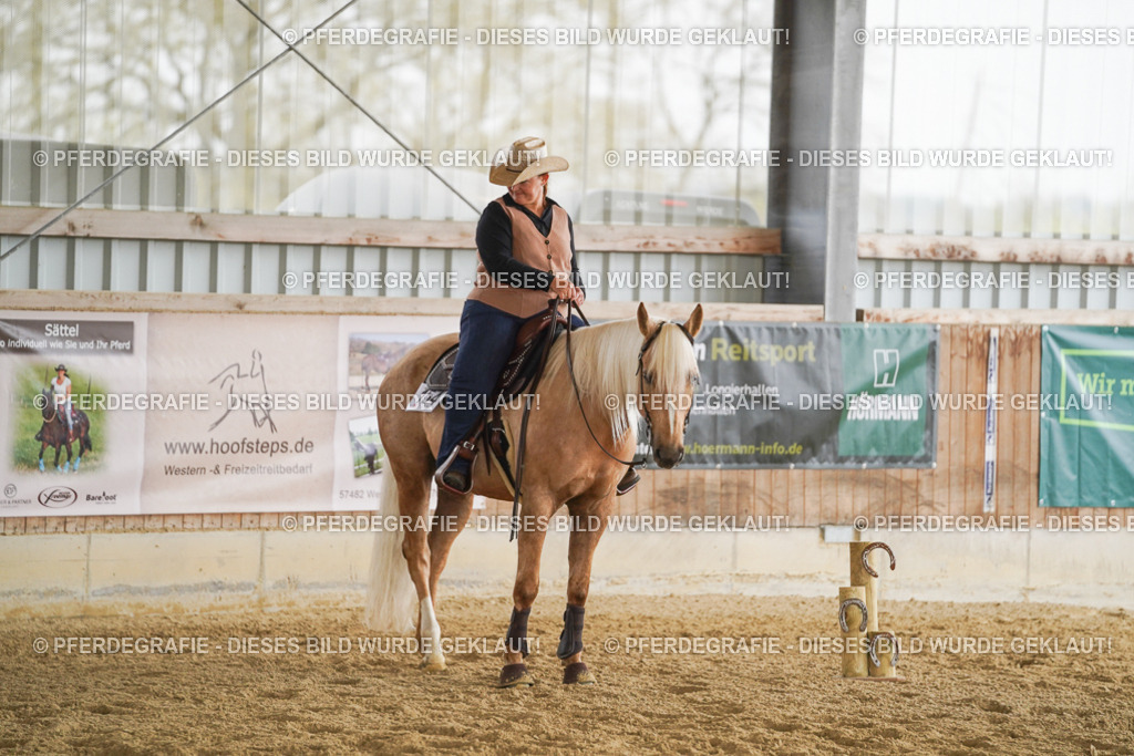 DSC03872 | Pferdegrafie