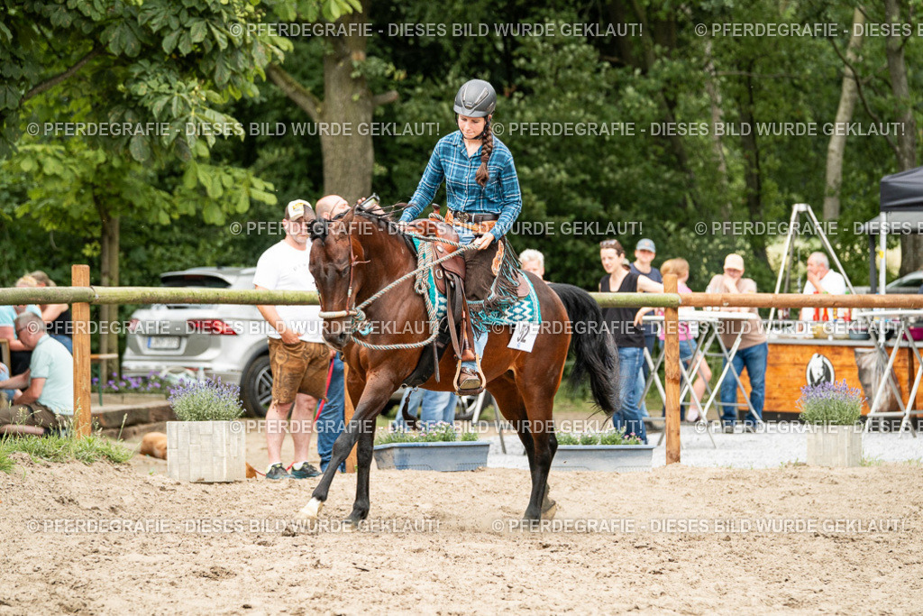 DSC01516 | Pferdegrafie