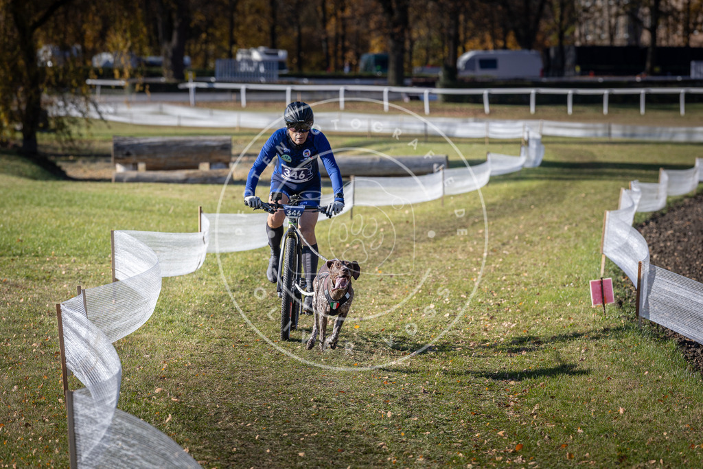 CaniXpix_DV3A6954 | Hundefotografie, Tierfotograf, Pfotenfotografie, Fotoshooting Hund, Hunde Portrait, Hundesport, Hundeportraits, Heideshooting, Hunde, Sportfotograf, Hundefotograf, Turnierhundsport, THS,  - Realisiert mit Pictrs.com