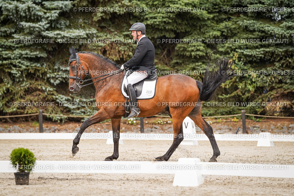 DSC07173 | Pferdegrafie