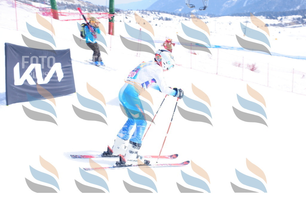 DSC_6104 | holidayphoto