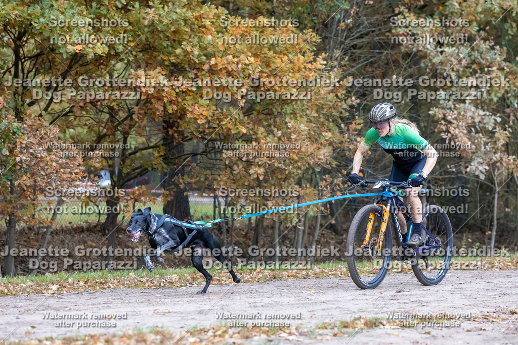 Dog Paparazzi - SD CaniX Championship 2025-214 | Dog Paparazzi Jeanette Grottendiek Fotografie & Videografie - Realisiert mit Pictrs.com