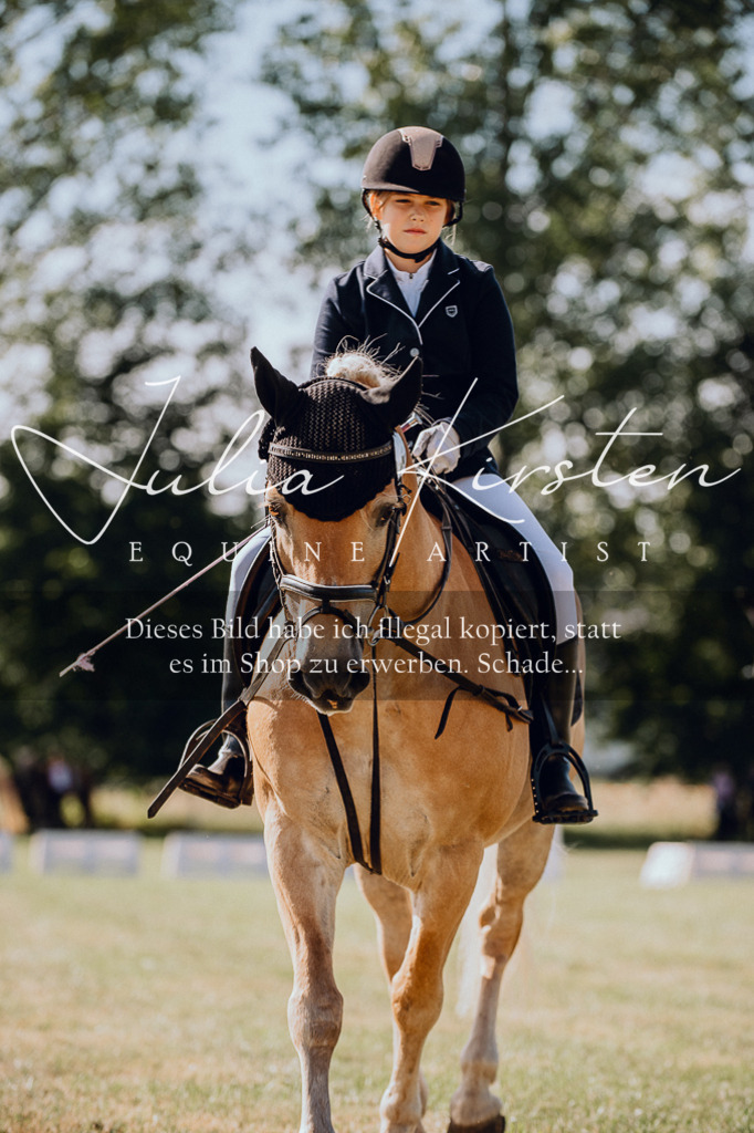 DSC_6878 | Pferde- und Turnierfotografie in Westsachsen. Pferdeportraits, Auftragszeichnungen und intuitive Kunst.