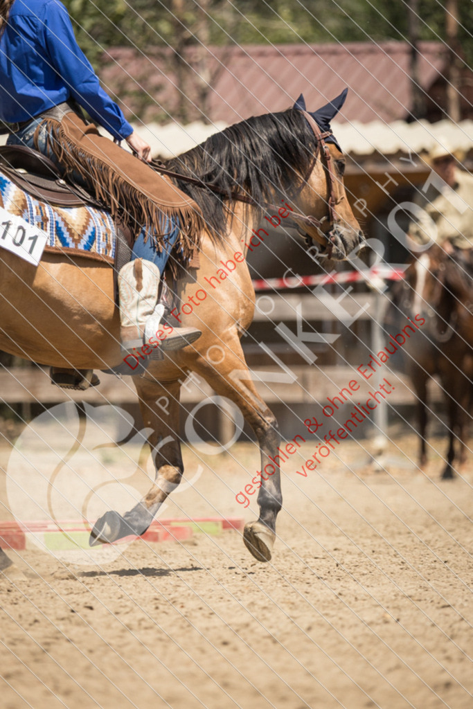 IMG_0471 | Sport-, Event- und Tierfotos in Profiqualität. Einfach auswählen, bestellen und herunterladen. Dein Moment – perfekt festgehalten.