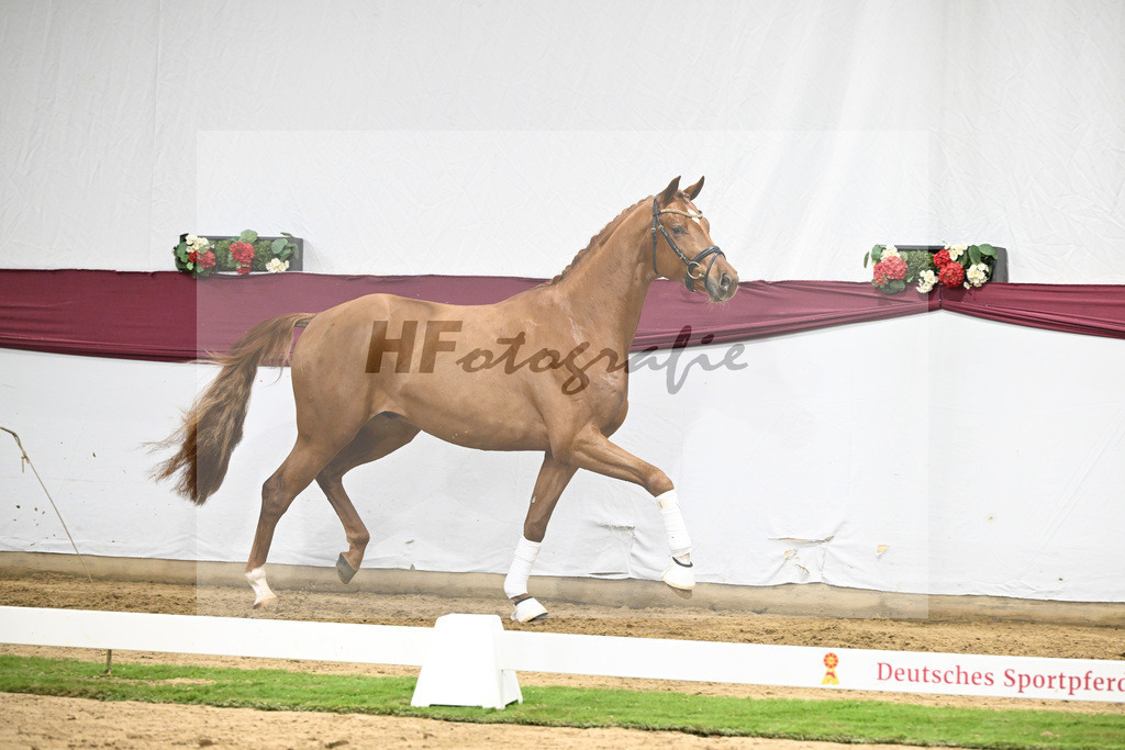 Kat-Nr. 133 Von Und Zu x Locksley III_Sabine Lehner_47254506 | hf-fotografie - Realisiert mit Pictrs.com