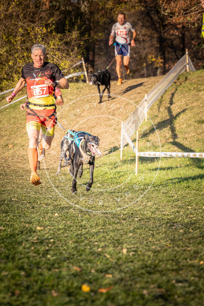 CaniXpix_0L8A0884 | Hundefotografie, Tierfotograf, Pfotenfotografie, Fotoshooting Hund, Hunde Portrait, Hundesport, Hundeportraits, Heideshooting, Hunde, Sportfotograf, Hundefotograf, Turnierhundsport, THS,  - Realisiert mit Pictrs.com