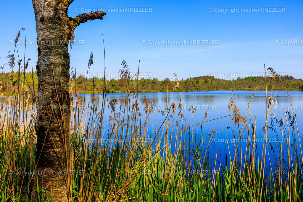 _J3A7753 | medienkrizzler - Realisiert mit Pictrs.com