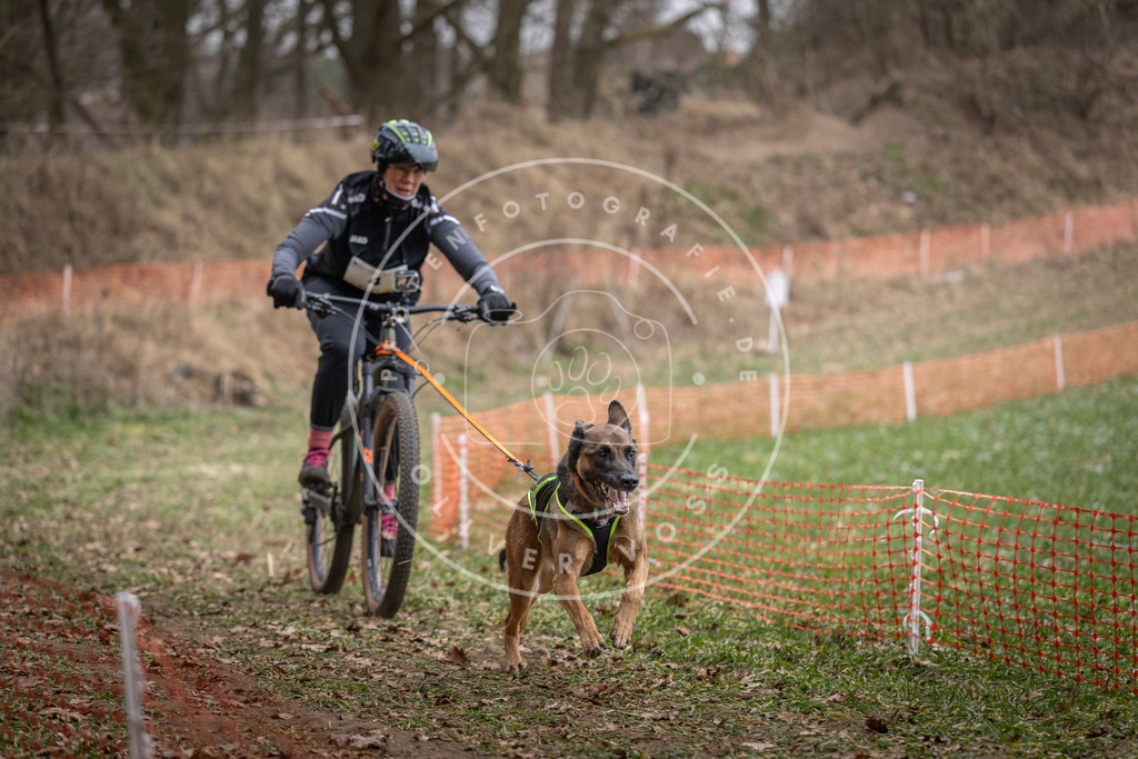 Pfotenfotografie_DV3A6261 | Hundefotografie, Tierfotograf, Pfotenfotografie, Fotoshooting Hund, Hunde Portrait, Hundesport, Hundeportraits, Heideshooting, Hunde, Sportfotograf, Hundefotograf, Turnierhundsport, THS,  - Realisiert mit Pictrs.com