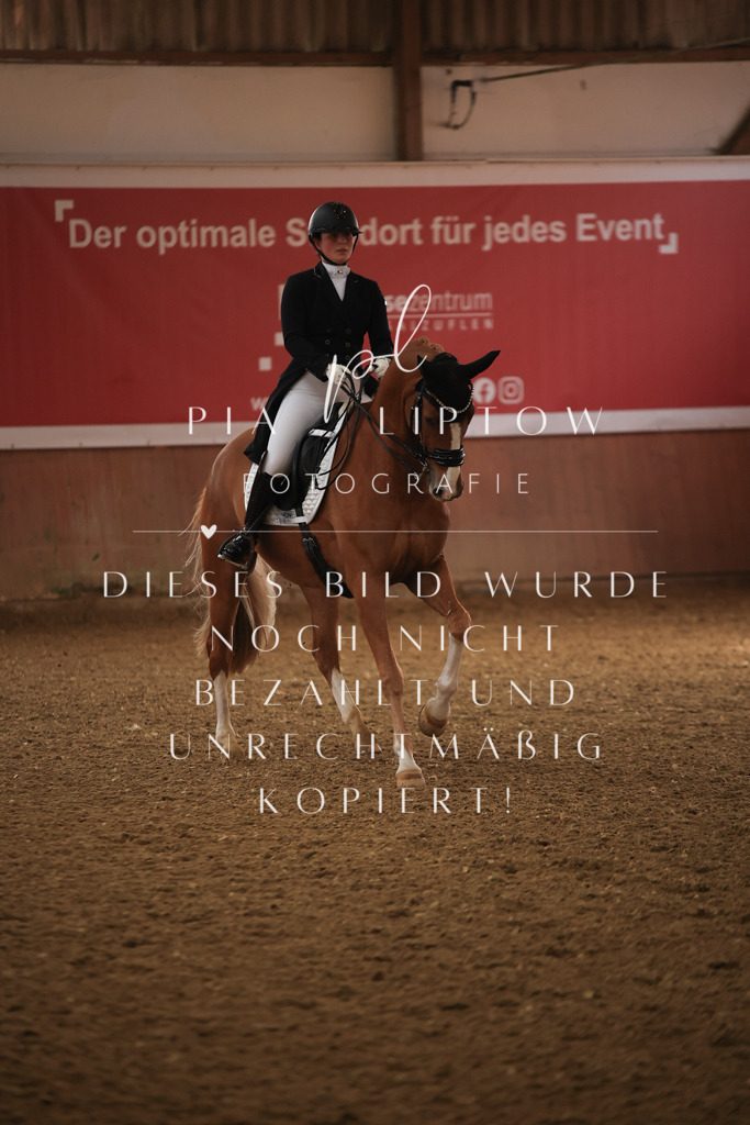 IMGT4712 | pl-fotografie