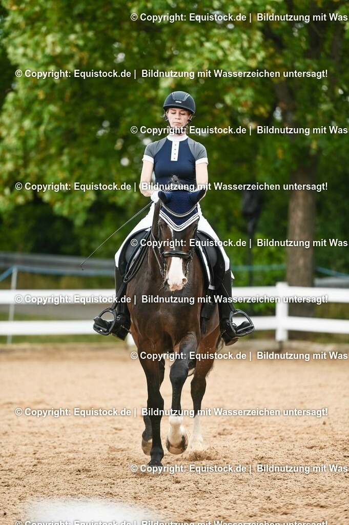 20230716_01_Dressurprüfung Kl.M_0486 | equistock