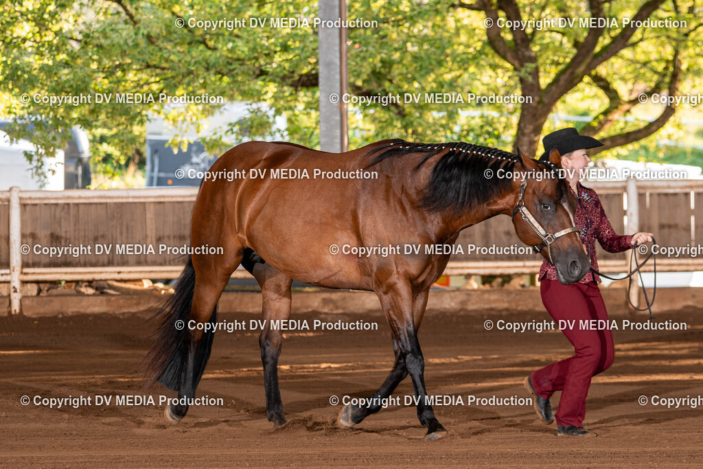 Erbach Tag 3-56 | dv-media-shop - Realisiert mit Pictrs.com