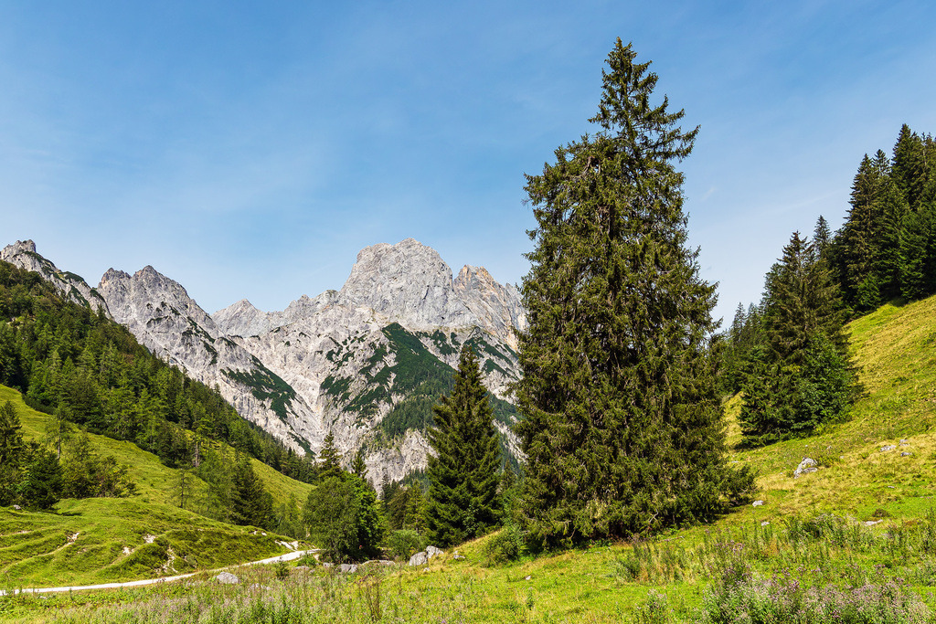 Blick auf die Bindalm im Berchtesgadener Land in Bayern | Blick auf die Bindalm im Berchtesgadener Land in Bayern.