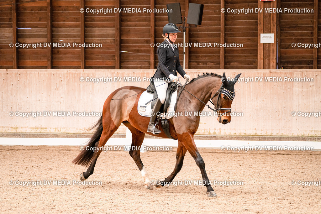 Dressur Tag 1 -49 | dv-media-shop - Realisiert mit Pictrs.com