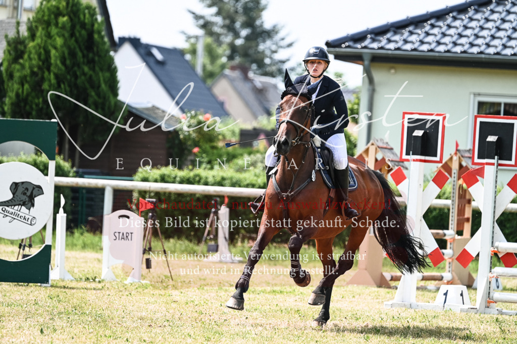 DSC_9105 | Pferde- und Turnierfotografie in Westsachsen. Pferdeportraits, Auftragszeichnungen und intuitive Kunst.