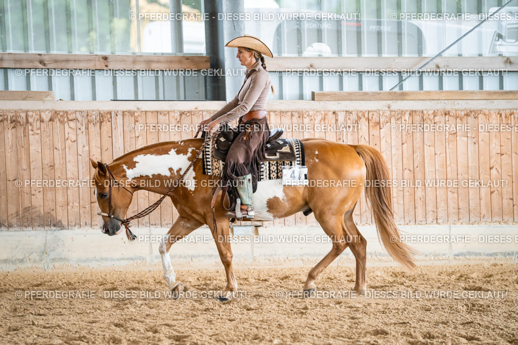 DSC00116 | Pferdegrafie