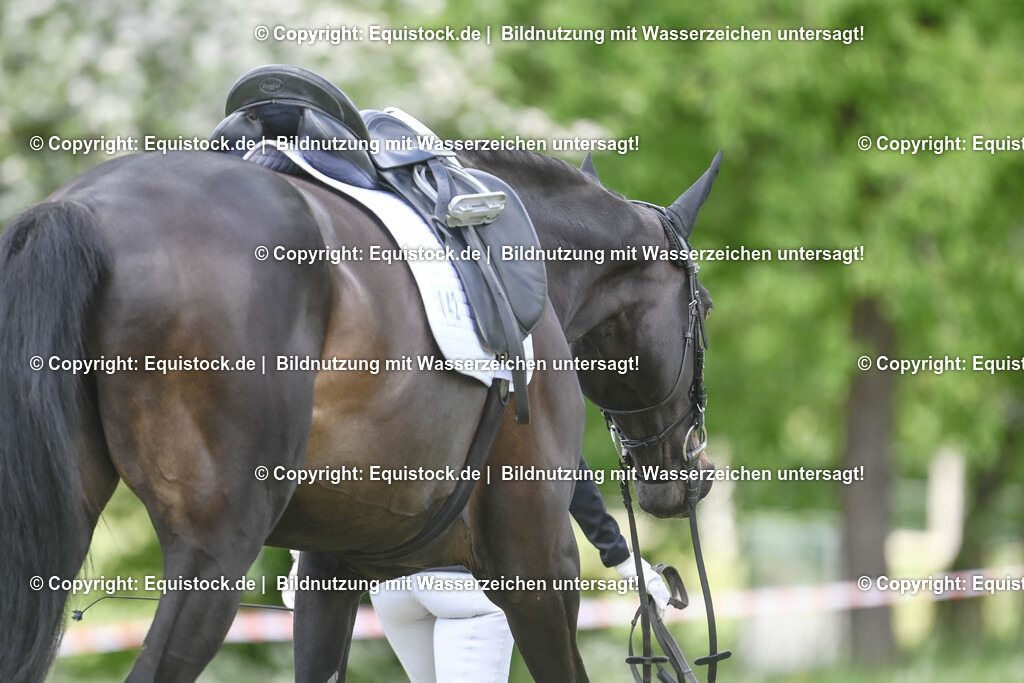 20250516_Impressionen_0086 | Foto: Thomas Hartig