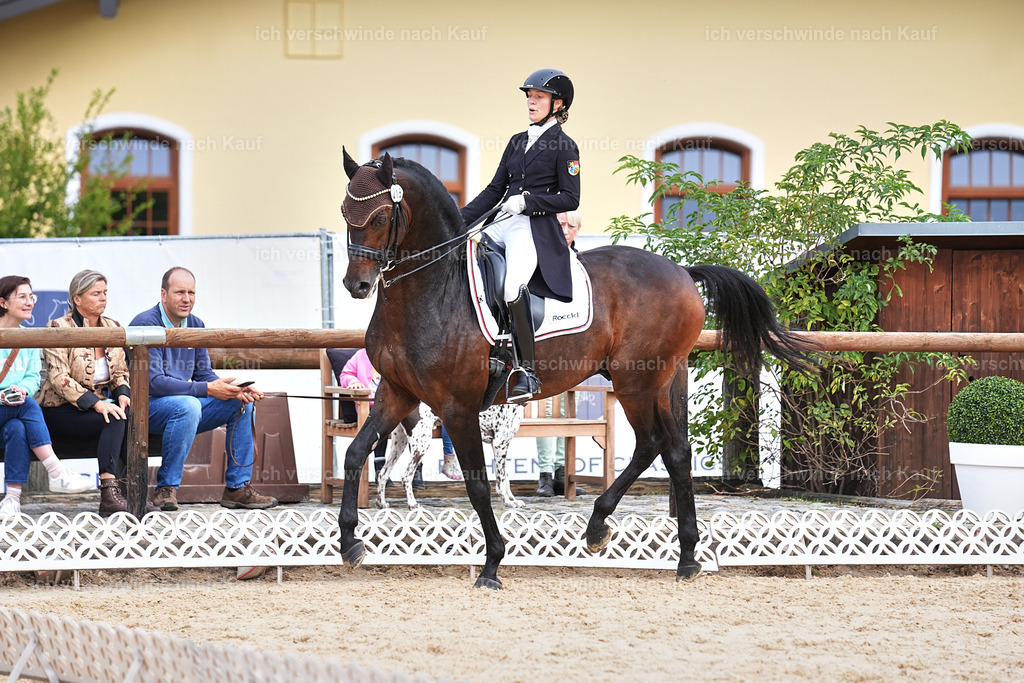 11-215-Dressur S___-Marixx-1752 | working equitationturnier fotograf videograf stoibphotography marixx film working equitation deutschland reitsport turnierfotografie eventfotografie equestrian events