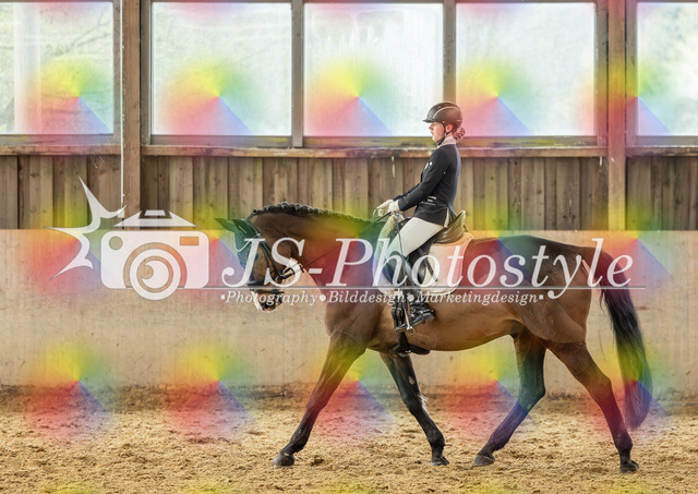 20260403_AH-Reitabzeichen_Dressur_3-5_Gpr3_ (26) | JS-Photostyle - Sport-/Portrait- & Eventfotografie