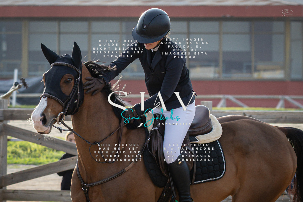 IMG_0552 | s-jay-photography - Realisiert mit Pictrs.com