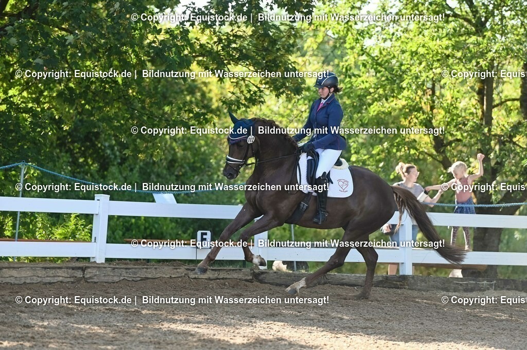 20230715_06_Dressurpferdeprfg. Kl.A_0152 | equistock