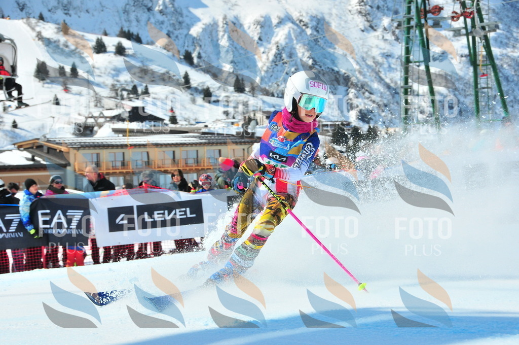 DSC_1237 | holidayphoto