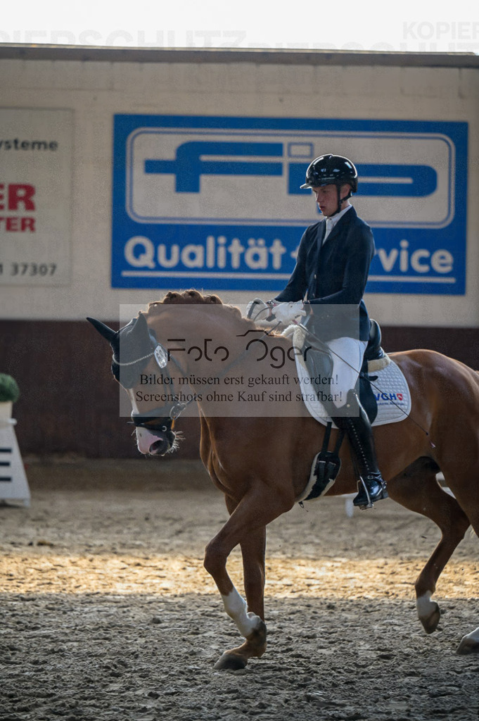 Reitturnier Voxtrup | Entdecke hochwertige Reitturnierfotos von Foto Oger. Professionell, emotional und authentisch – jetzt Lieblingsmomente im Shop bestellen.Deutschlandweite Turnierfotografie. - Realisiert mit Pictrs.com