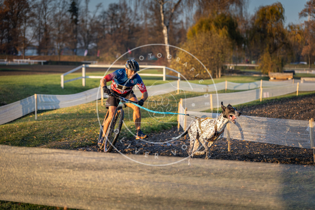 CaniXpix_DV3A9404 | Hundefotografie, Tierfotograf, Pfotenfotografie, Fotoshooting Hund, Hunde Portrait, Hundesport, Hundeportraits, Heideshooting, Hunde, Sportfotograf, Hundefotograf, Turnierhundsport, THS,  - Realisiert mit Pictrs.com