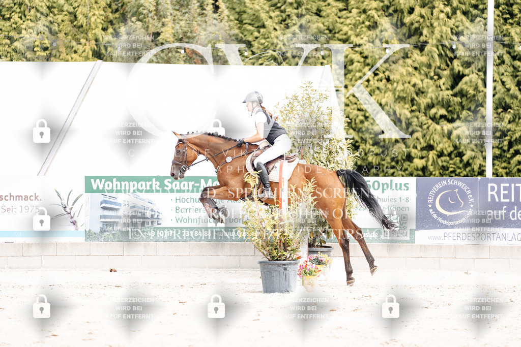 CK906588 | Turnierfotografie Pferdefotografie Trier Rheinland-Pfalz Pferdesport Reitsport Tierfotografie Sportfotografie Pferdevideo Pferdevideografie Equestrianvideography equestrianphotography  - Realisiert mit Pictrs.com