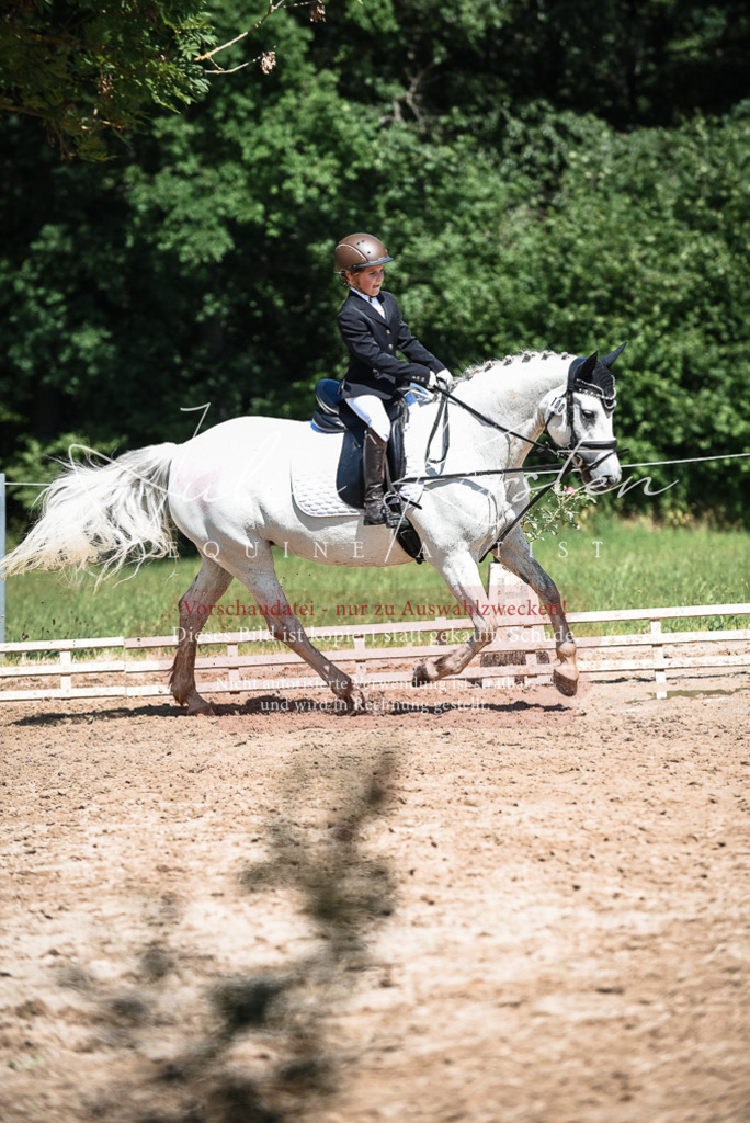 DSC_3603 | Pferde- und Turnierfotografie in Westsachsen. Pferdeportraits, Auftragszeichnungen und intuitive Kunst.