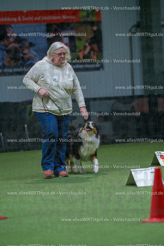 7R501446 | Professionelle Tierfotografie in Mönchengladbach von Daniel Wirth (allesWIRTHgut). Liebevolle & natürliche Bilder von Hunden & Katzen für unvergessliche Erinnerungen.