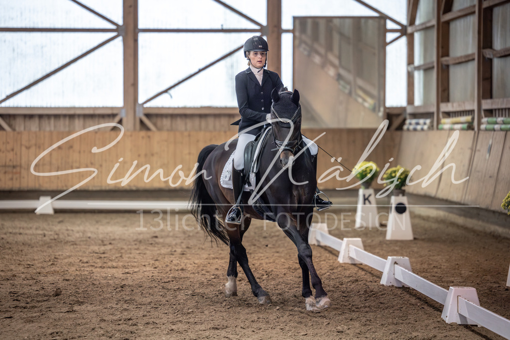 20251011-_3LI1683 | Tierfotografie Pferde, Hunde, Katzen, Haustiere.
Turnierfotografie Reitturniere, Reiten, Springreiten, Dressur in Hanau, dem Main-Kinzig-Kreis und dem Rhein-Main- Gebiet um Frankfurt