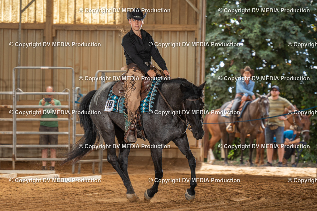 NID01794 | dv-media-shop - Realisiert mit Pictrs.com