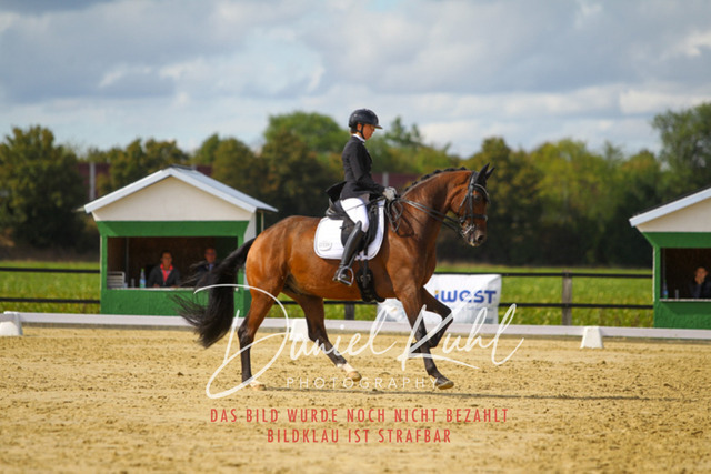 DKP44339 | Turniersportfotografie; Pferdefotografie; Dressurfotografie