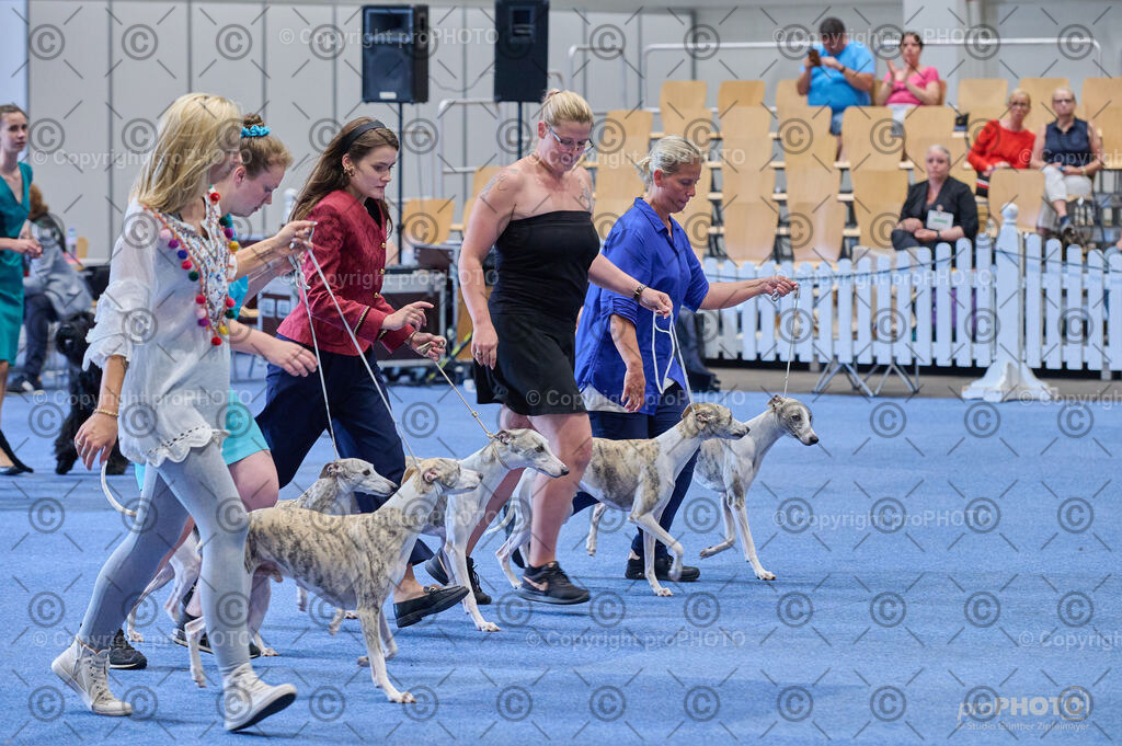 202406_ÖKV-IHA-Tulln24_DSC_4924 | proPHOTO - Realisiert mit Pictrs.com