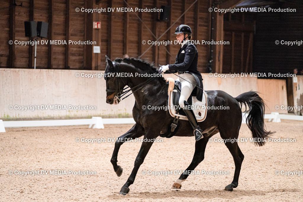 Dressur Tag 2-691 | dv-media-shop - Realisiert mit Pictrs.com