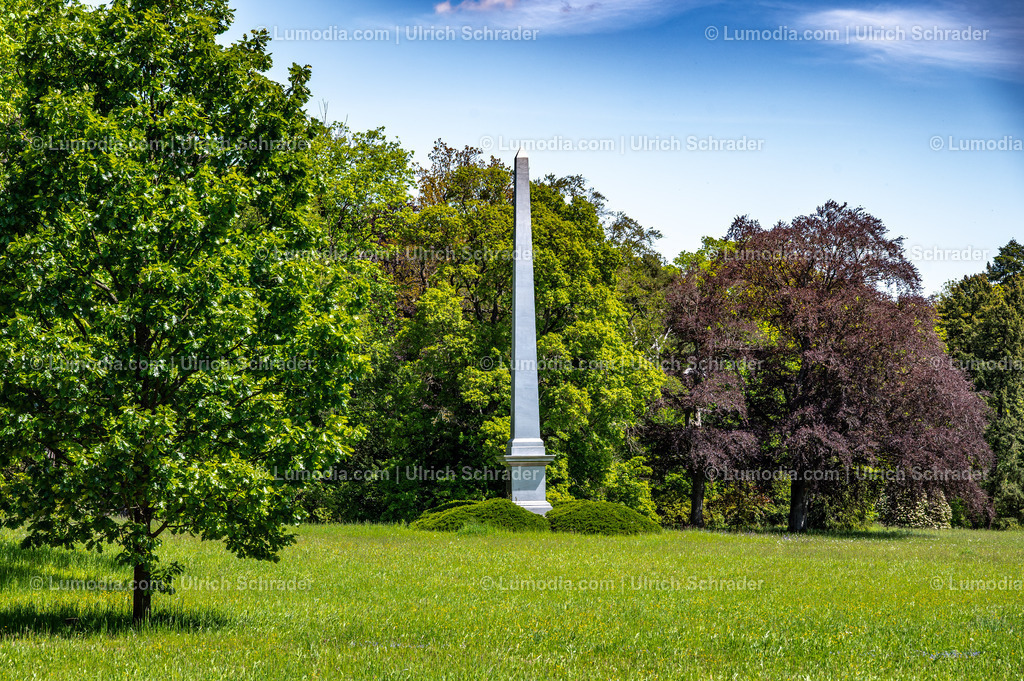 10049-14084 - Landschaftspark Degenershausen | Stockfoto und Bilderpool mit Bildmaterial aus Deutschland, dem Harz, Halberstadt, Quedlinburg, Wernigerode und weltweit. Qualitativ hochwertige und professionelle Fotos anschauen und kaufen. - Realisiert mit Pictrs.com
