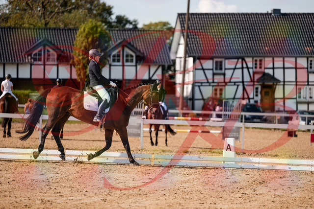 2026_10_03_Siefer-Hof_130459_Z63_68119011 | Professionelle Reitsport-, Turnier- und Eventfotografie von Robert Broda. Galerien mit ausgewählten und bearbeiteten Bildern direkt online ansehen und bestellen.