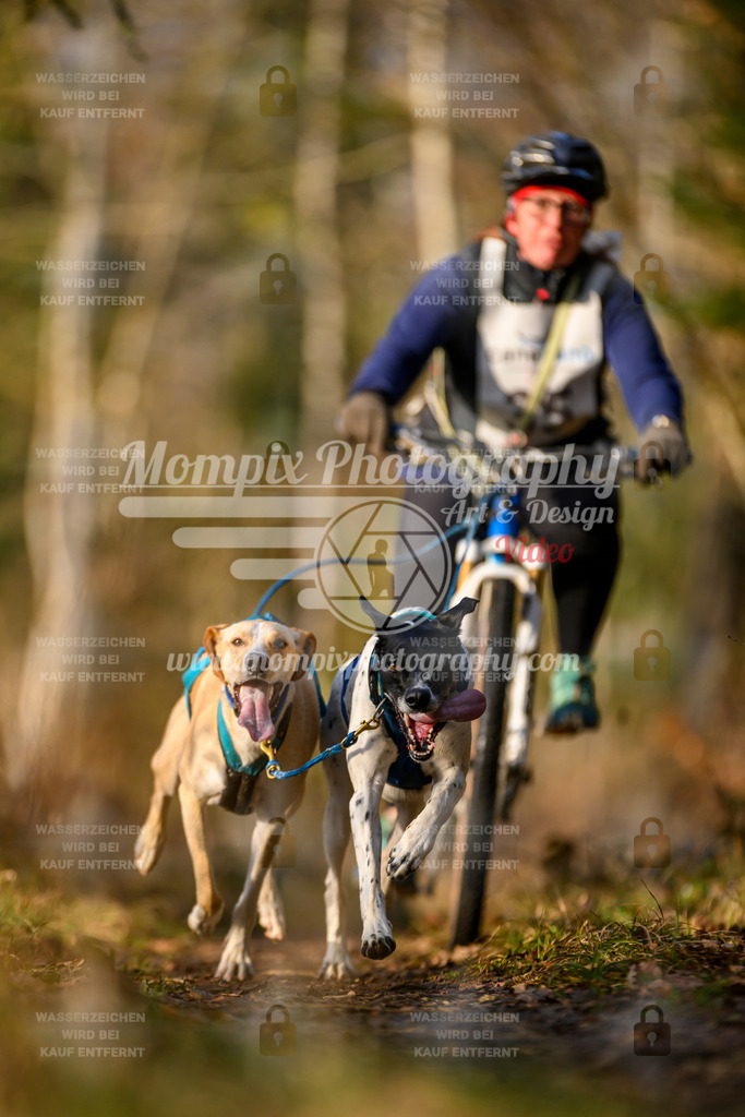 MompixPhotography_6ReiatRennen2026_SO_Bike-9 | PayLife
