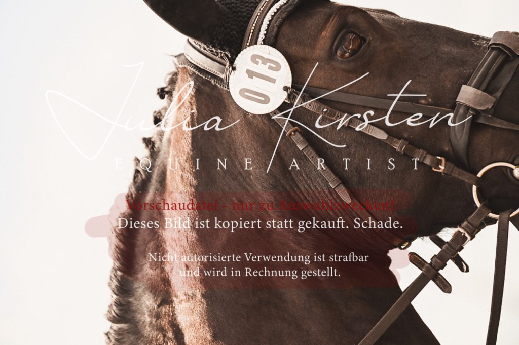 DSC_6232 | Pferde- und Turnierfotografie in Westsachsen. Pferdeportraits, Auftragszeichnungen und intuitive Kunst.