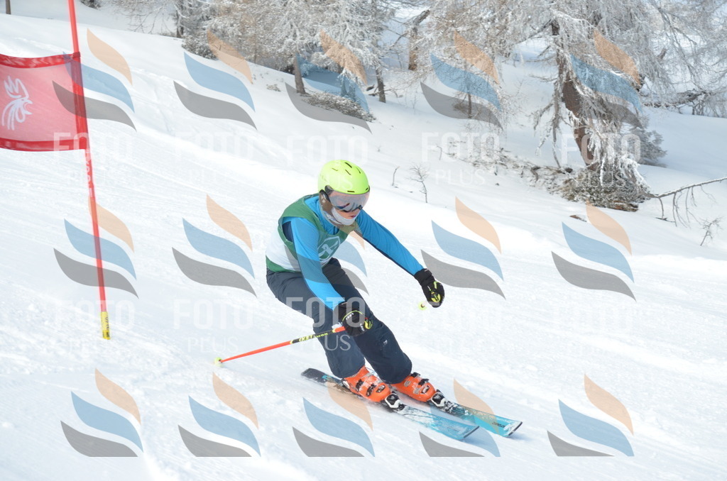 D8815 | holidayphoto