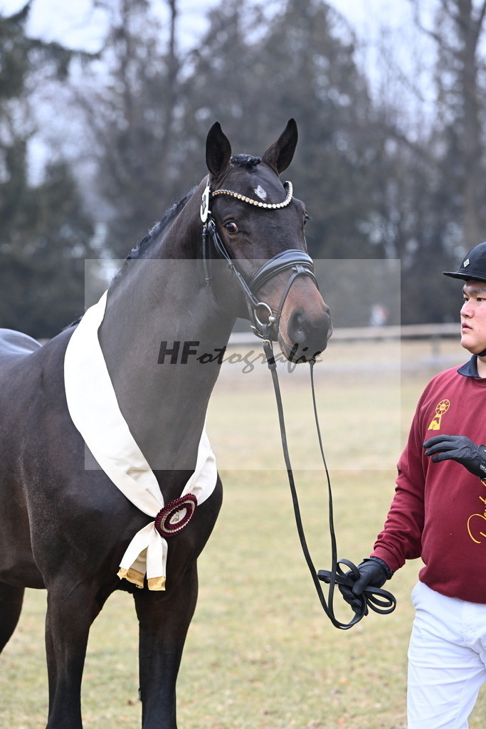 Kat.-Nr. 22 v. Heartbreaker_Laue_3265705 | hf-fotografie - Realisiert mit Pictrs.com