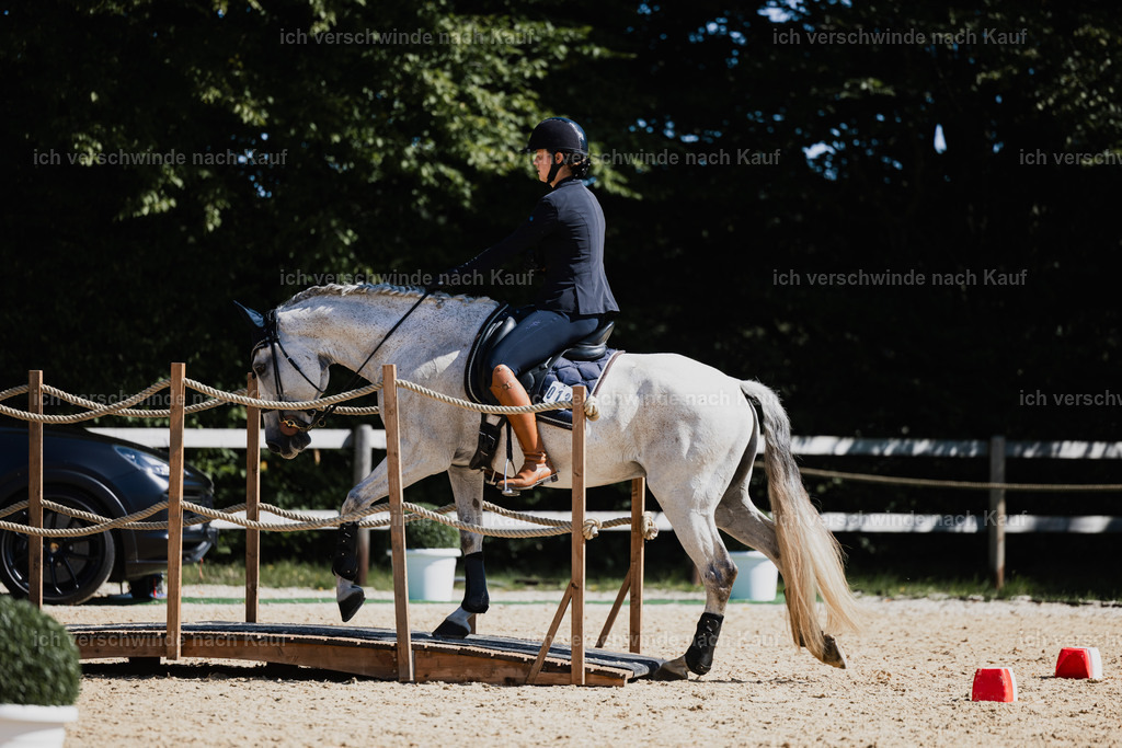 Svea13FHC2025-27382 | working equitationturnier fotograf videograf stoibphotography marixx film working equitation deutschland reitsport turnierfotografie eventfotografie equestrian events